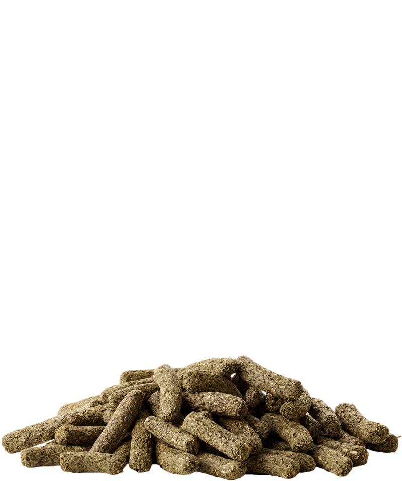 Versele-Laga Complete Chinchilla & Degu (5410340614136.0)