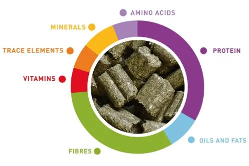 Padovan Wellness Guinea Pigs 1 kg