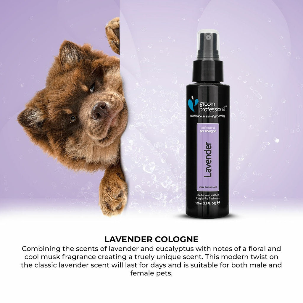 Groom Professional Lavender Cologne - 100 ml