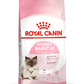 Feline Health Nutrition Mother and Babycat