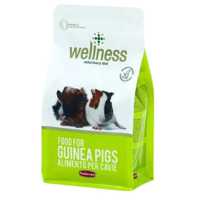 Padovan Wellness Guinea Pigs 1 kg