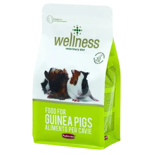 Padovan Wellness Guinea Pigs 1 kg