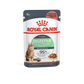Feline Care Nutrition Digest Sensitive Gravy (Wet food - pouches)