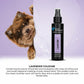 Groom Professional Lavender Cologne - 100 ml