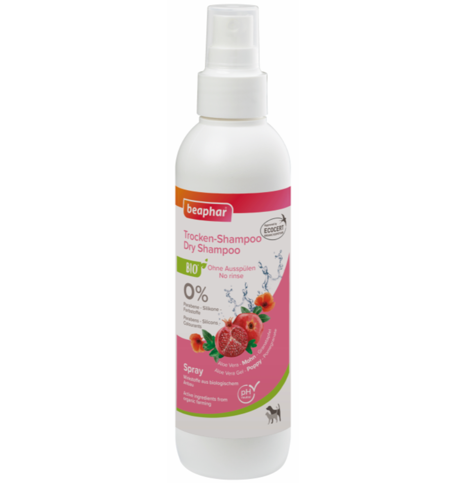 Shampoo