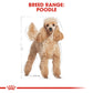 Breed Health Nutrition Poodle Adult