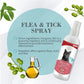 Bioline Flea and Tick Spray for Cat - 175 ml