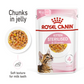 Feline Health Nutrition Kitten Sterilised Jelly (WET FOOD - Pouch)