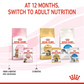 Feline Health Nutrition Kitten Sterilised Jelly (WET FOOD - Pouch)