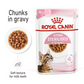 Feline Health Nutrition Kitten Sterilised Gravy (WET FOOD - Pouch)