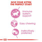 Feline Health Nutrition Kitten Jelly (WET FOOD - Pouch)