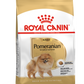 Breed Health Nutrition Pomeranian Adult 1.5 KG
