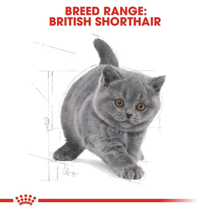 Feline Breed Nutrition British Shorthair Kitten 2 kg