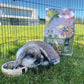 Witte Molen Puur Rabbit - 600 g