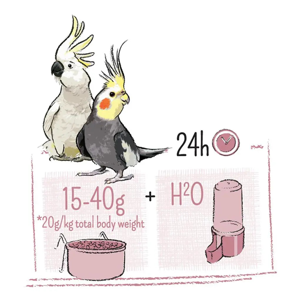 Witte Molen Puur Large Parakeet & Cockatoo - 750 g