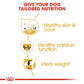 Breed Health Nutrition Golden Retriever Adult 12 kg