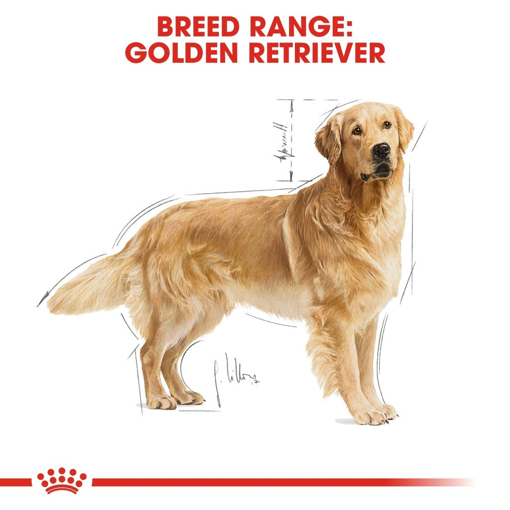 Breed Health Nutrition Golden Retriever Adult 12 kg