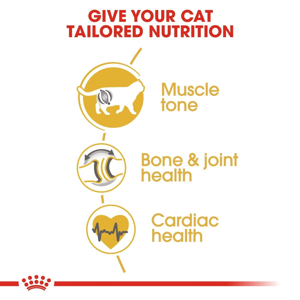 Feline Breed Nutrition British Shorthair Adult 4 kg
