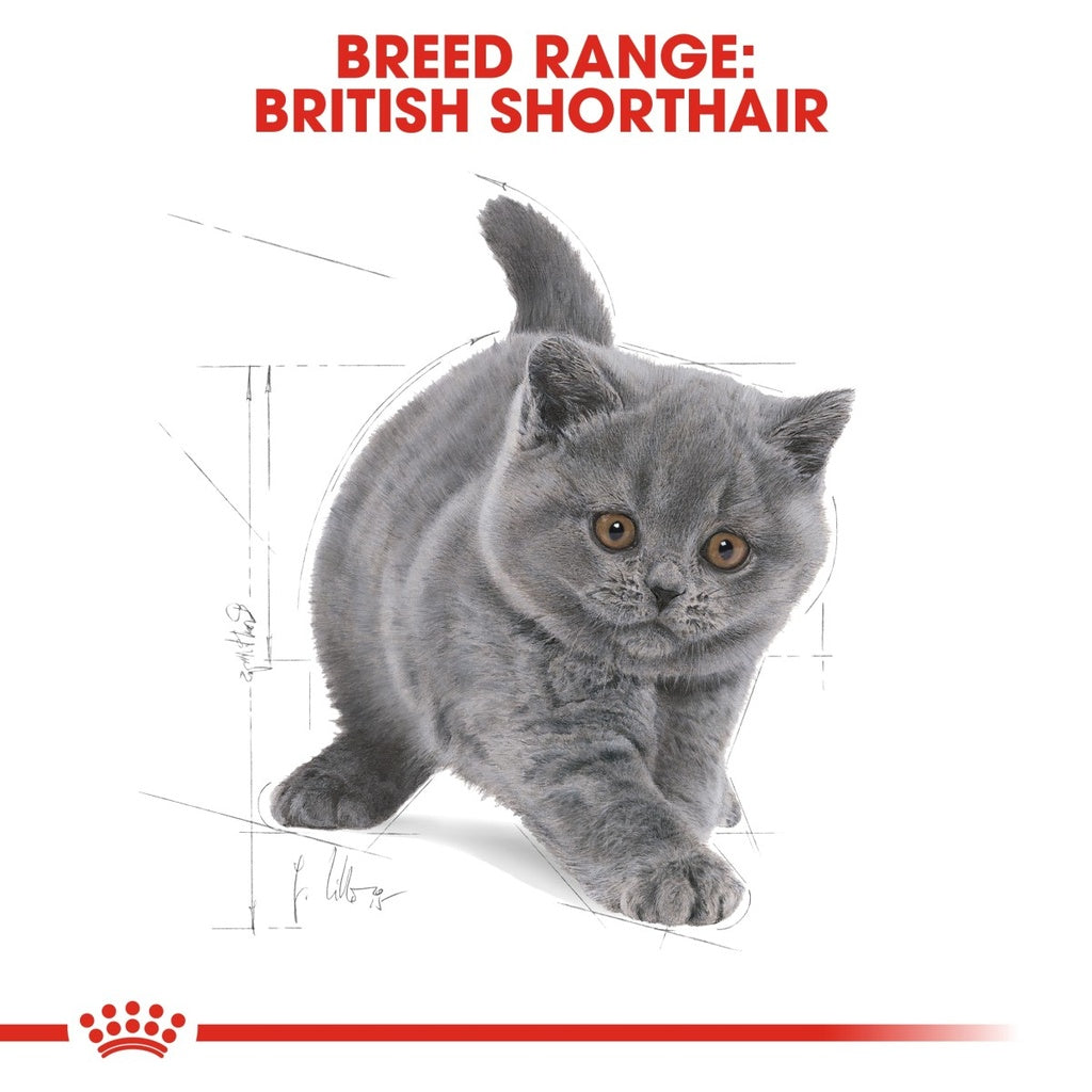 Feline Breed Nutrition British Shorthair Kitten 2 kg