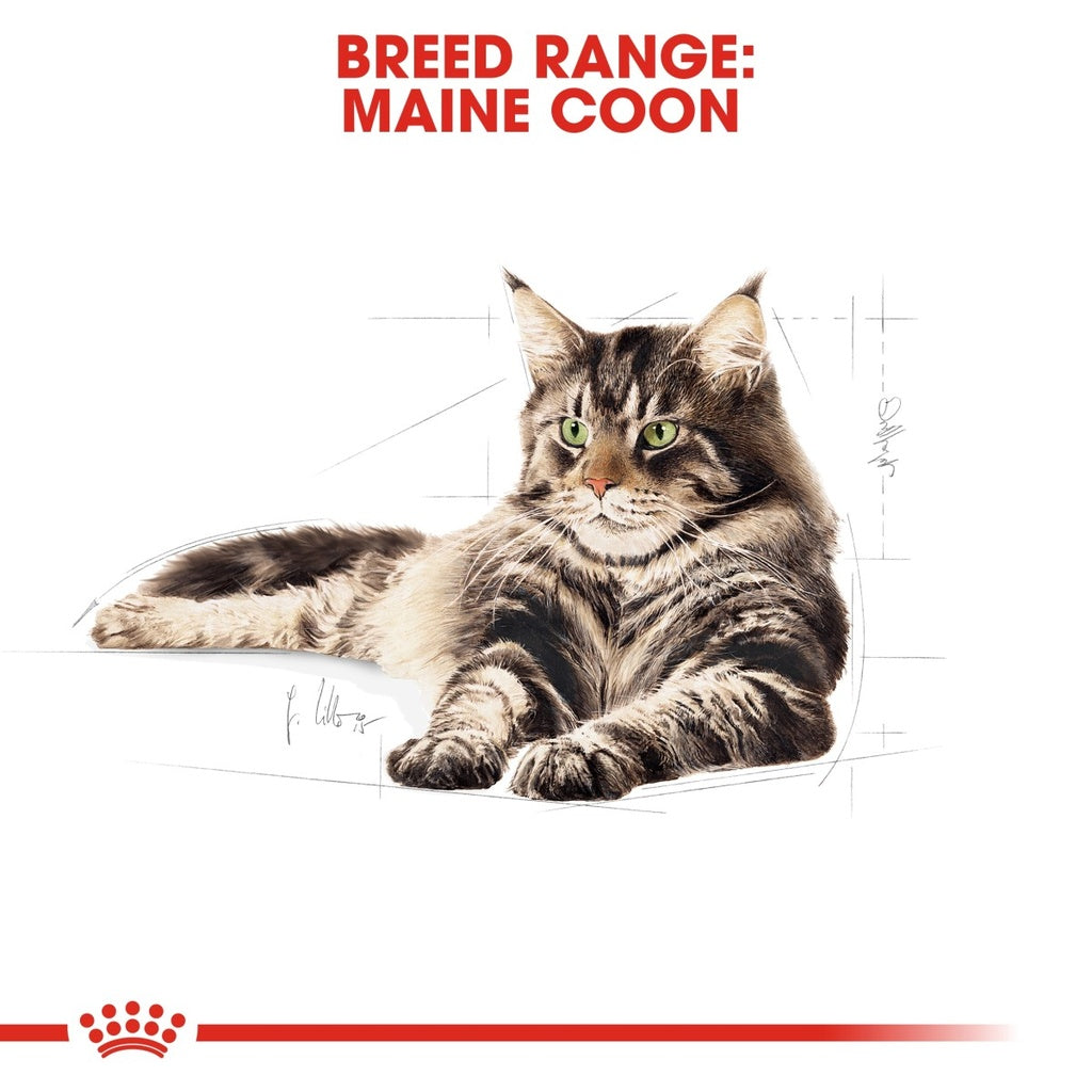 Feline Breed Nutrition Maine Coon Adult 2 kg