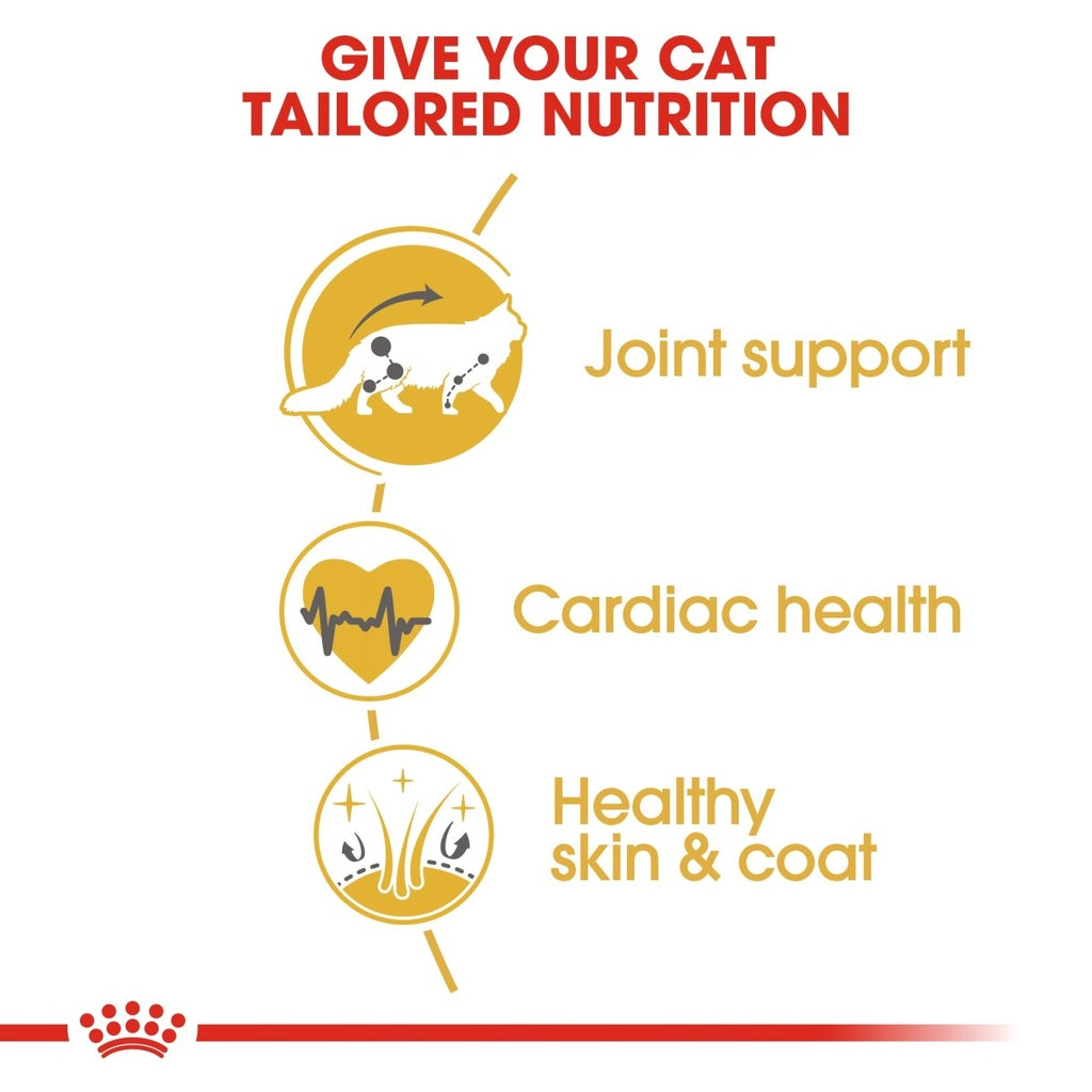 Feline Breed Nutrition Maine Coon Adult 2 kg