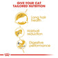 Feline Breed Nutrition Persian Adult