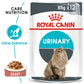 Feline Care Nutrition Urinary Care (Wet Food - Pouches)